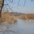 Lago di Sartirana, Inverno