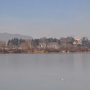 Lago di Sartirana, Inverno