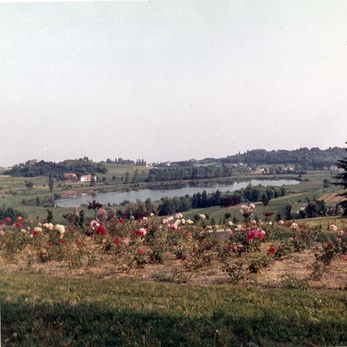 Lago di Sartirana, 1966